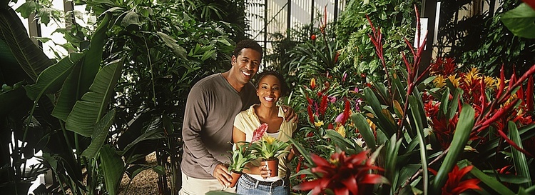 一对夫妇在花园中心手持植物，肖