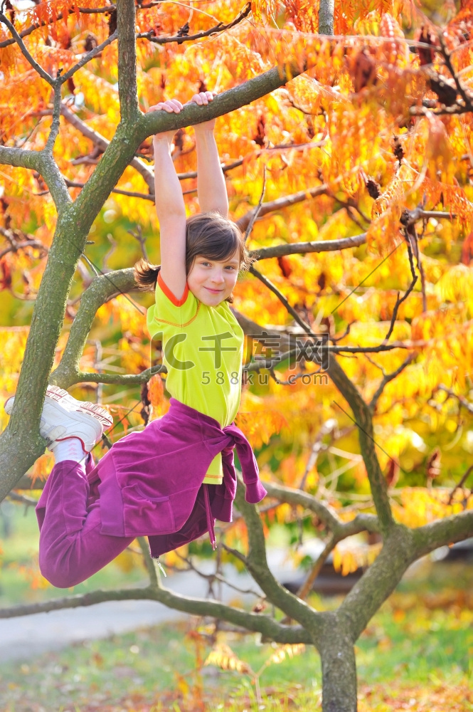 女孩爬上了树