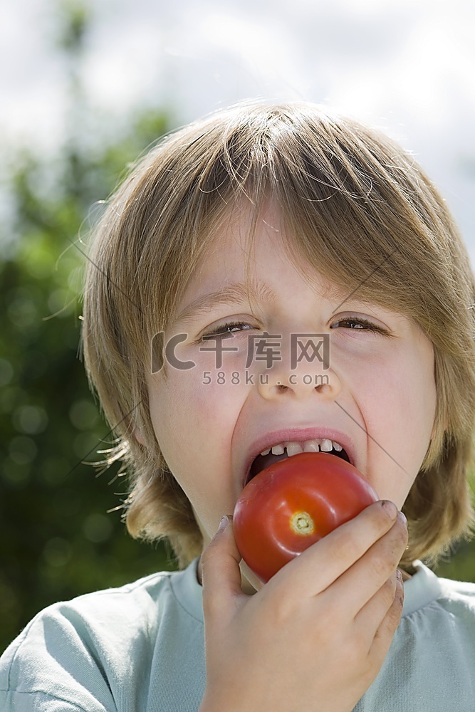 在花园里吃西红柿的男孩，肖像