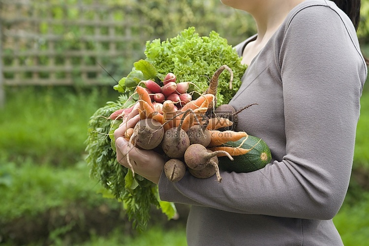 妇女拿着蔬菜在花园，中段，侧视