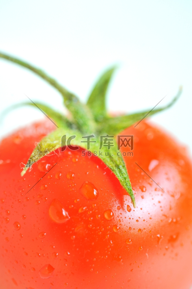 水滴红番茄