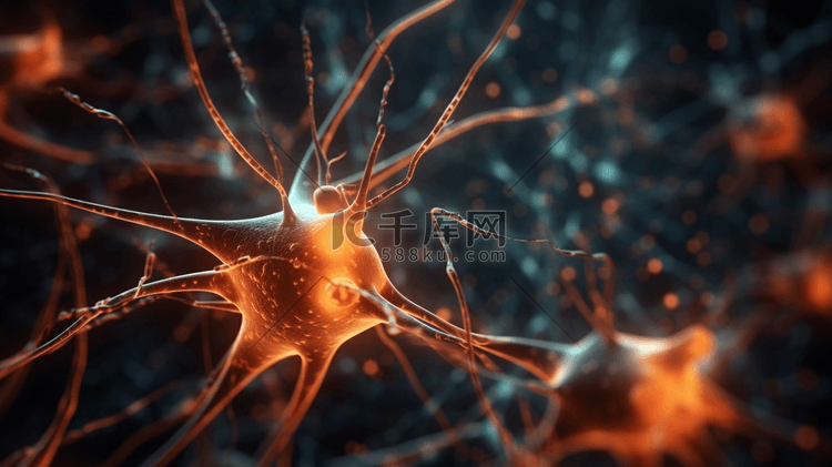 突触和神经元细胞在大脑中传递电