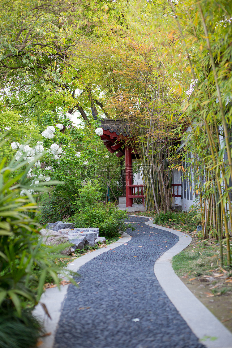 小路园林绿色植物风景