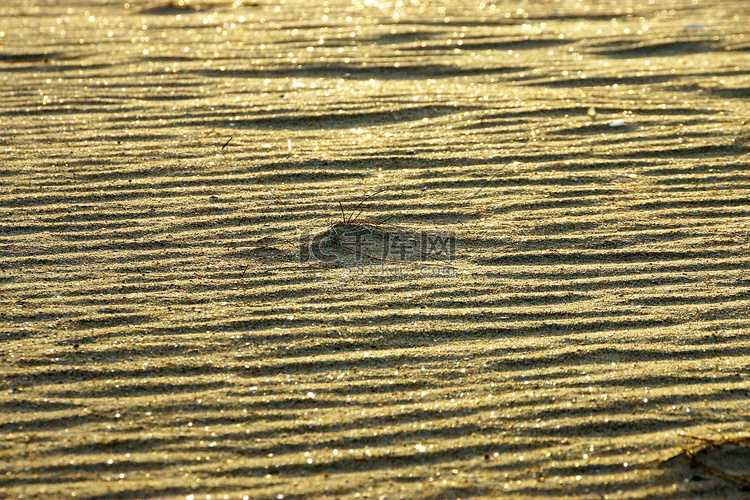 沙滩上夕阳的沙子反射。