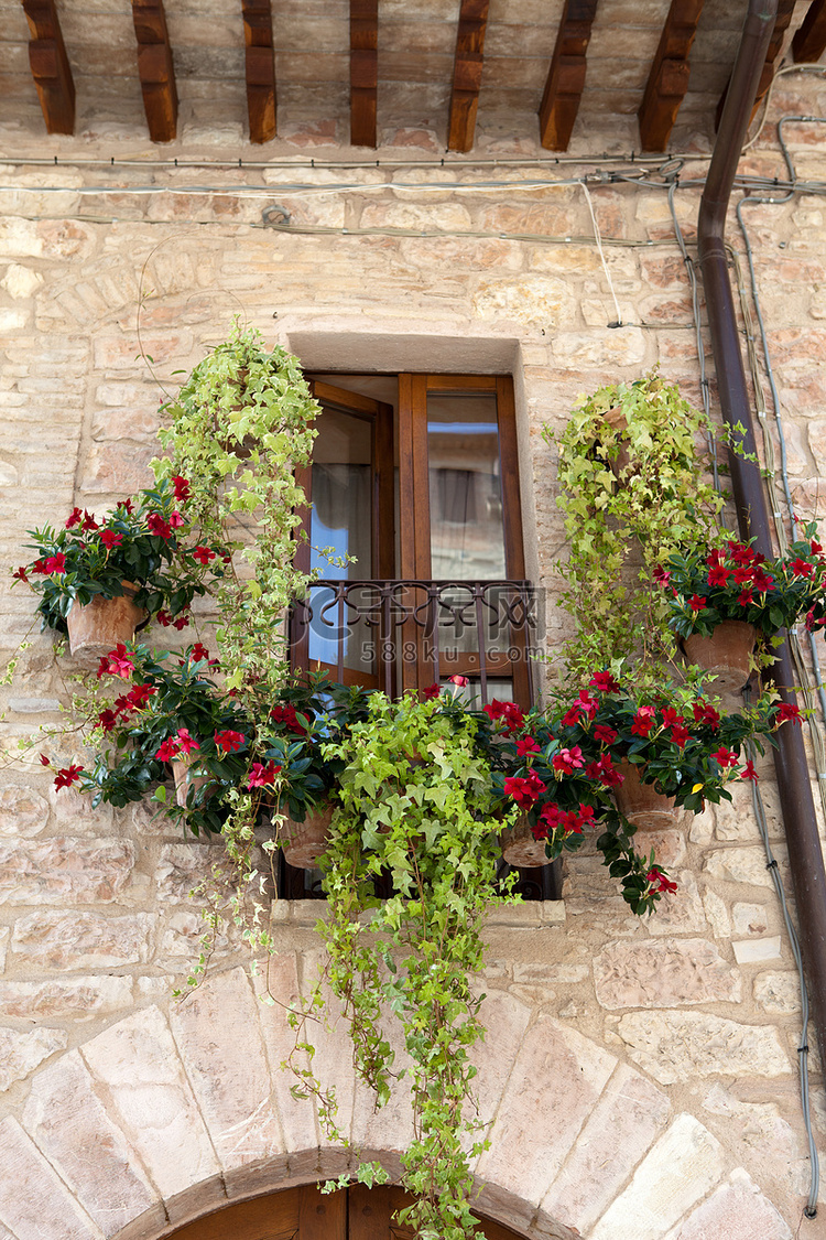 家庭窗户上挂着鲜花