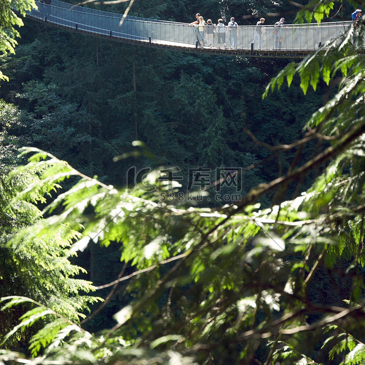 卡皮拉诺吊桥和卡皮拉诺公园