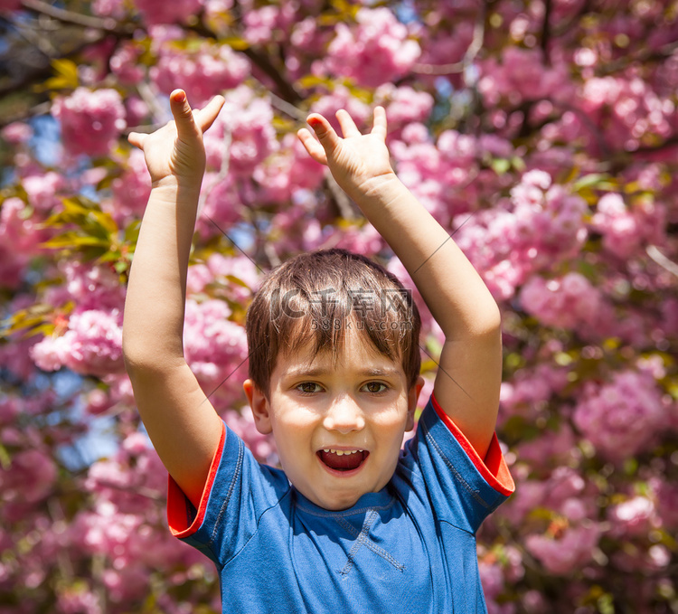 樱花背景下举手的男孩