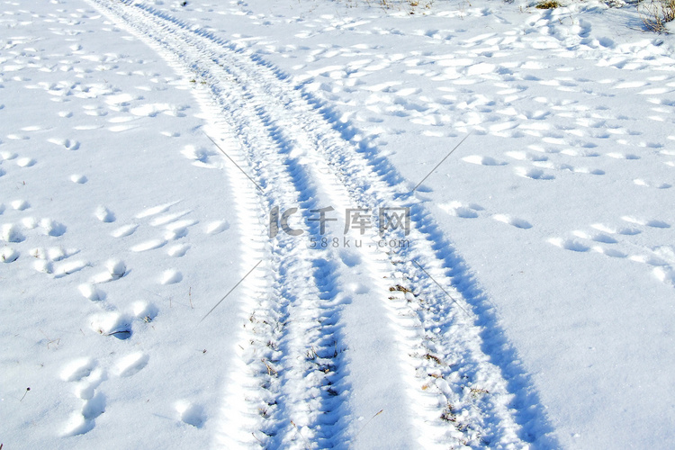 雪地里的轮胎和动物足迹