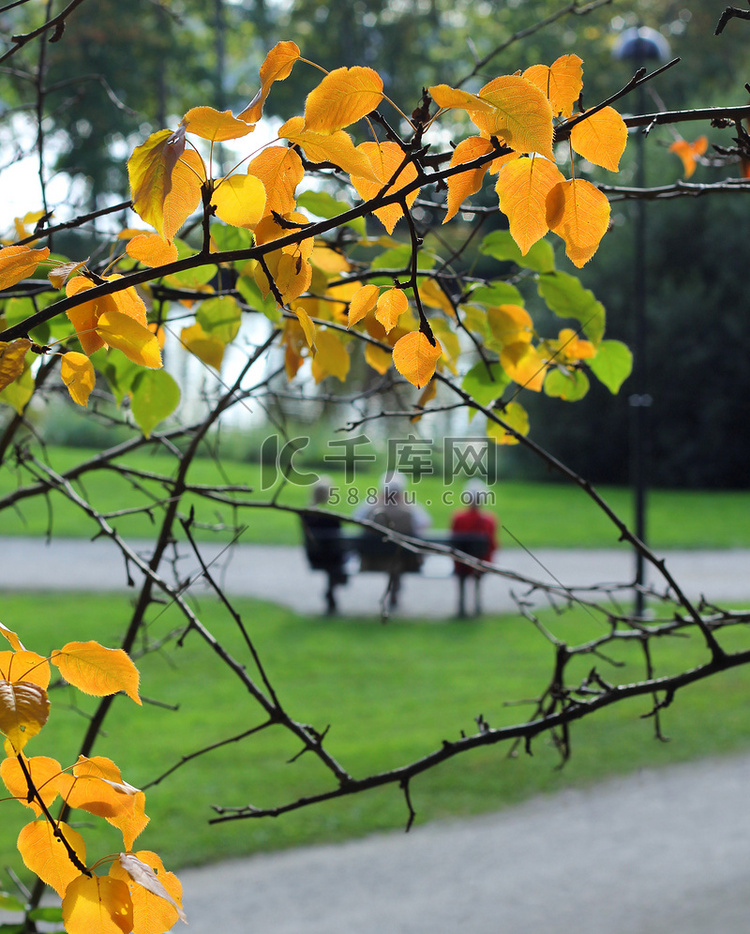 秋季公园中的老年人放松休息