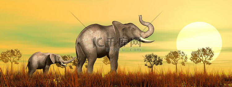 大草原上的大象妈妈和宝宝 — 