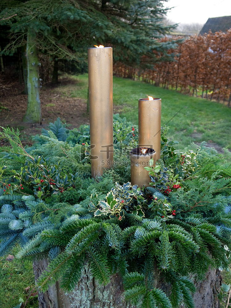 圣诞云杉树欧洲冬青树和灯