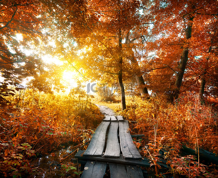 秋天和桥梁