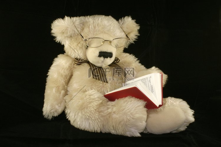 泰迪熊读书