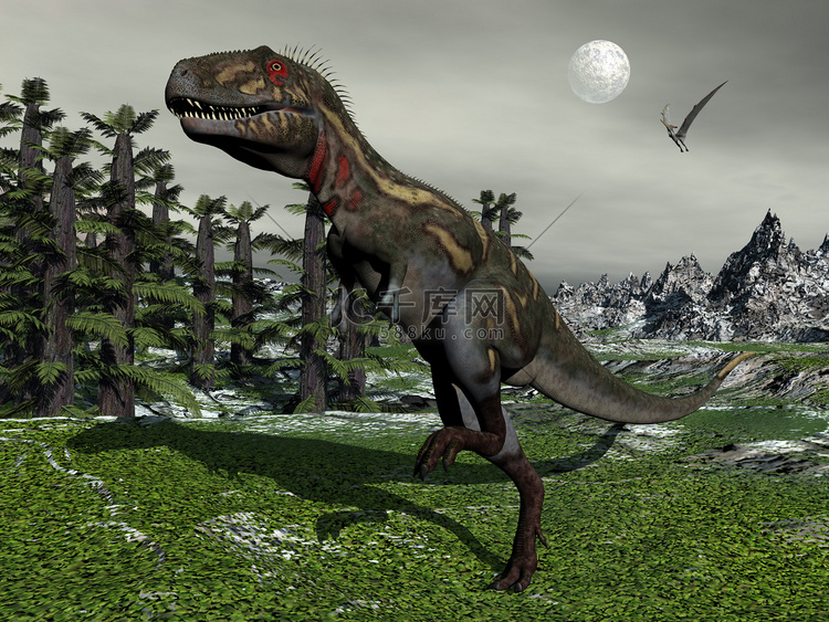 Nanotyrannus 恐龙 - 3D 渲染