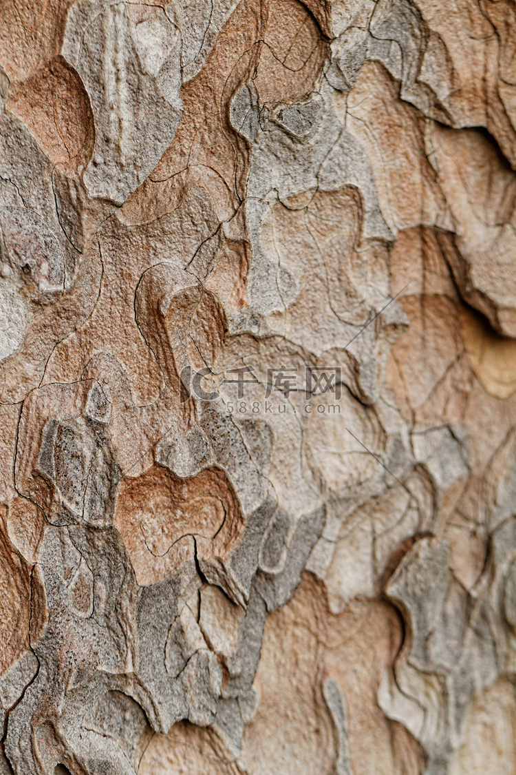 木质纹理。