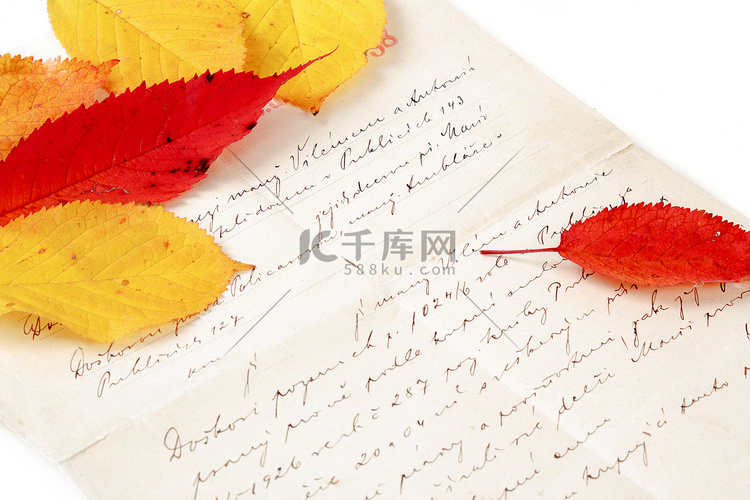 秋天落叶的手写信