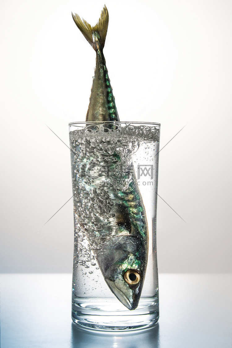 矿泉水玻璃杯里的鱼