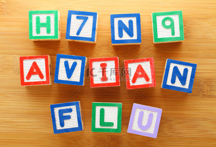 H7N9禽流感玩具积木
