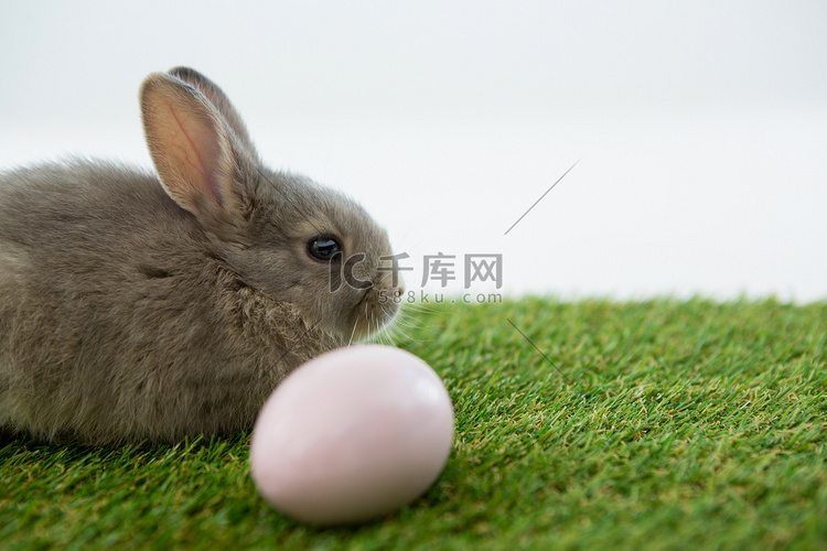 草丛中的复活节彩蛋和复活节兔子
