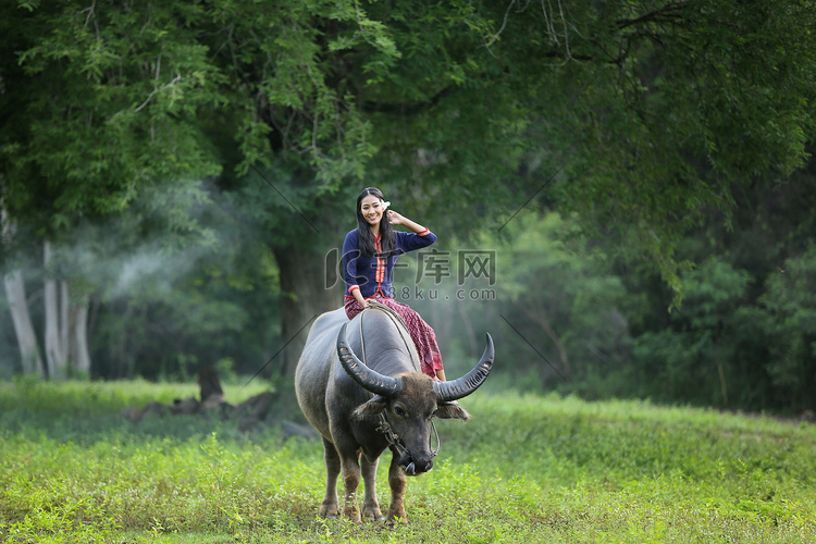 亚洲女泰国农民坐在田里的水牛上