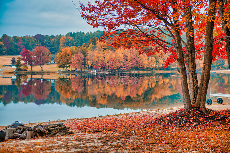 湖面上令人惊叹的树叶倒影。