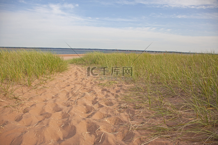一条穿过草地的沙路通往海滩