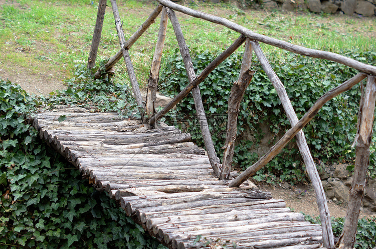 春天：步道在庭院里