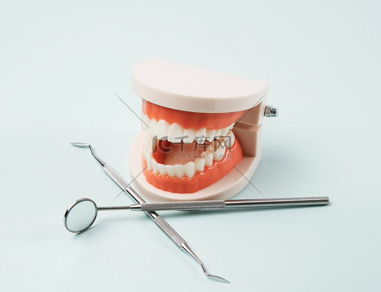 白牙颌骨塑料模型和口腔医生工作
