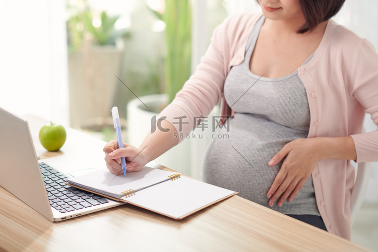 美丽的怀孕女商人在她的笔记本上