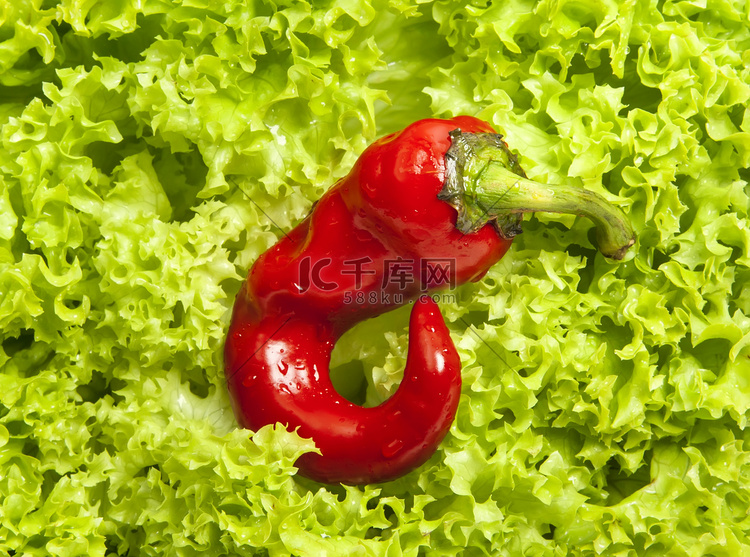 新鲜的绿色冰山沙拉和小红辣椒