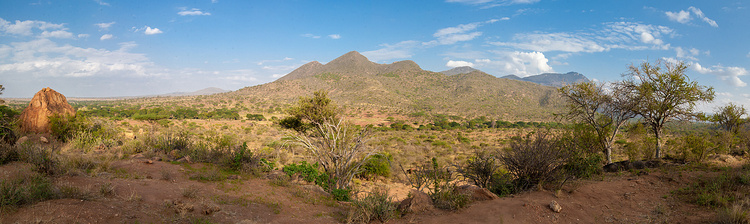 肯尼亚、丘陵和草原的风景