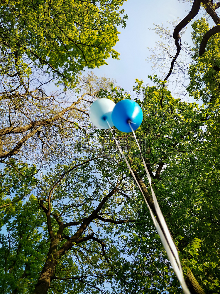 公园内树木背景下氦气球的低角度