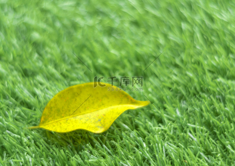 浅景深人造草上的黄色落叶