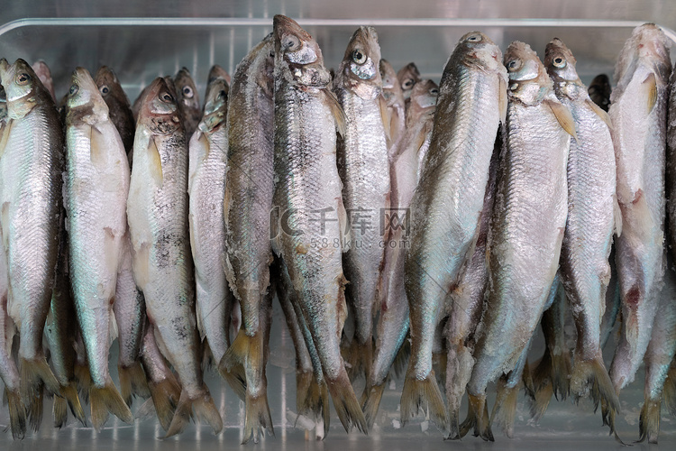 海鲜市场冷冻柜中的大量冷冻鱼