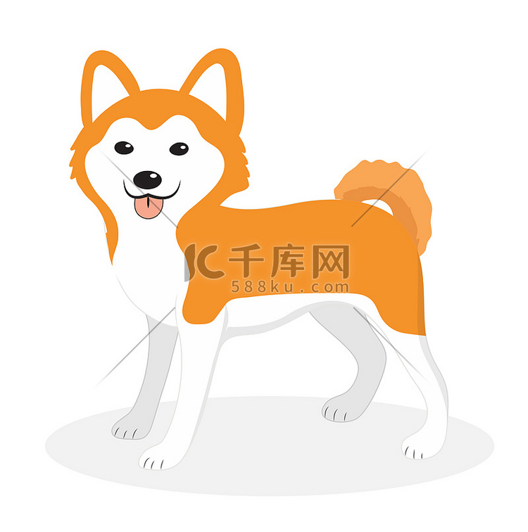 秋田犬犬种图标，扁平，卡通风格