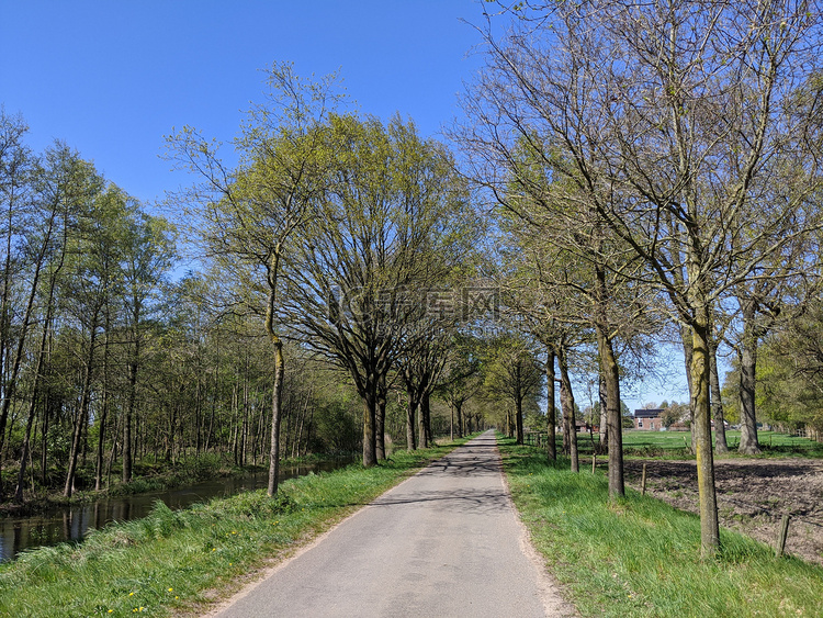 春季通往海尔德兰 Veldhoek 的道路