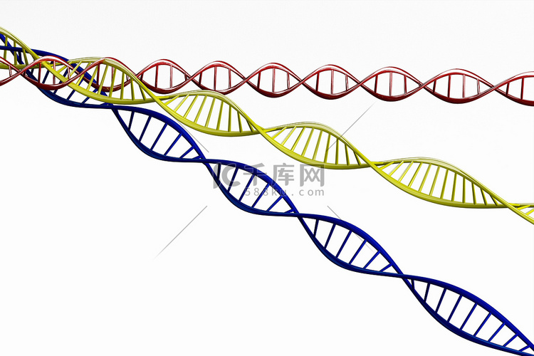 3d 渲染，扭曲的 DNA 链模型分离。
