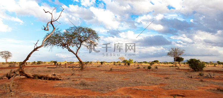 肯尼亚大草原的风景，在野生动物