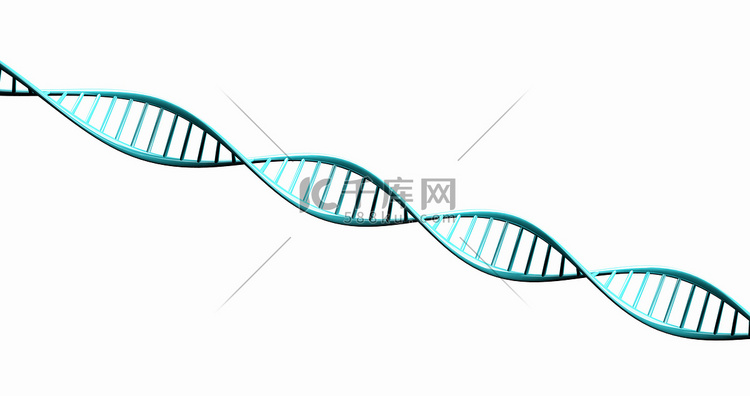 扭曲的 DNA 链的孤立 3d