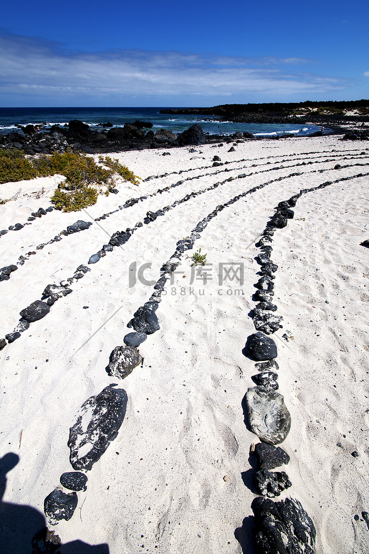 兰萨罗特岛黑色岩石的白色海滩螺