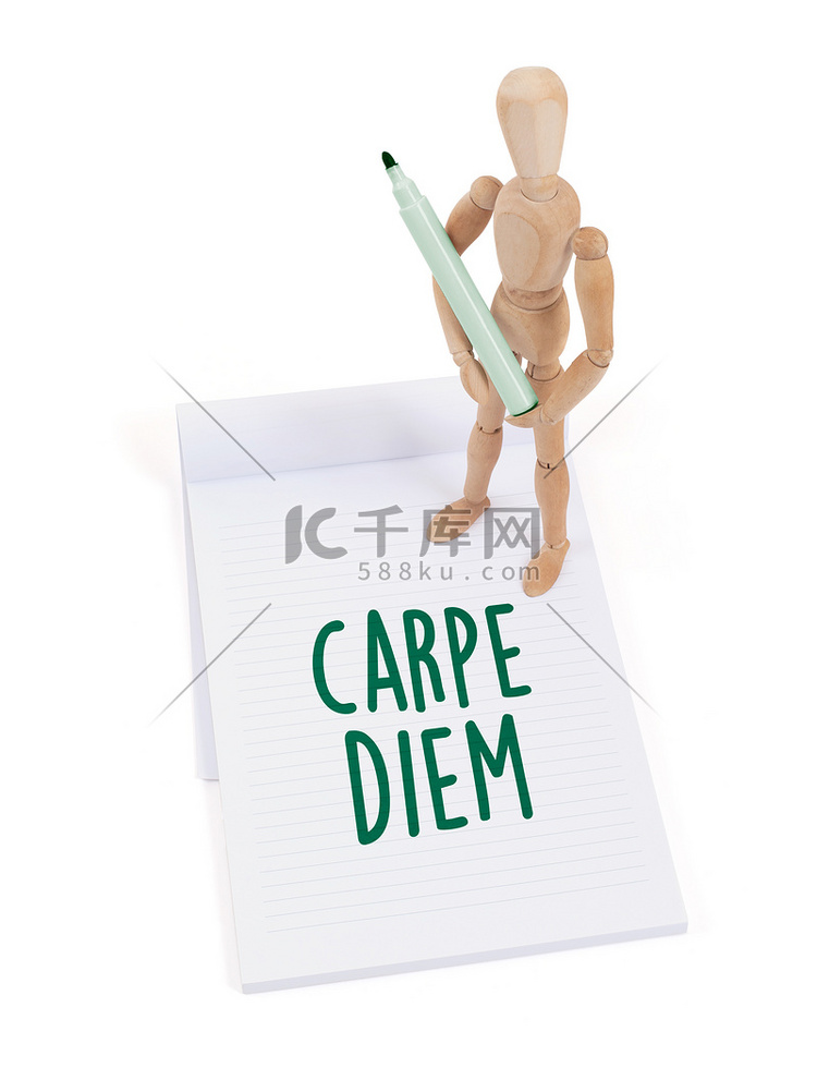 木制模特写字 - Carpe diem