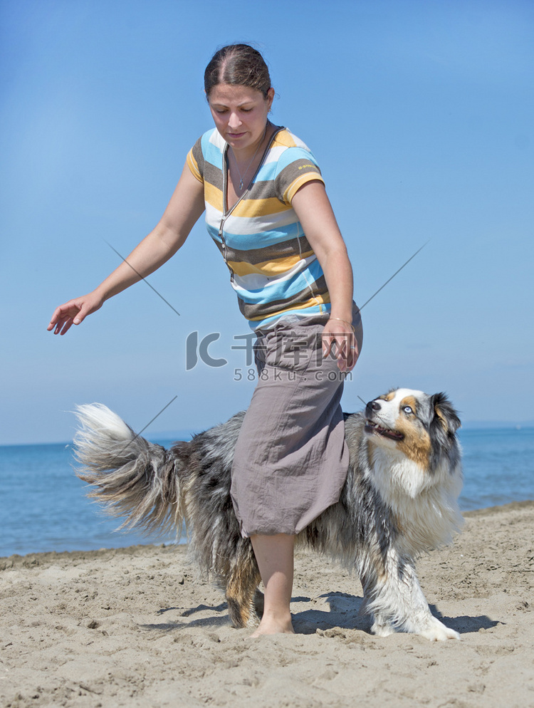 狗在沙滩上跳舞