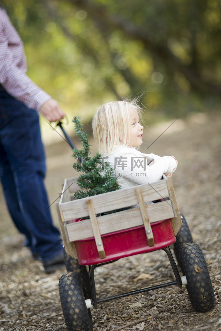 父亲用带圣诞树的马车拉着女婴