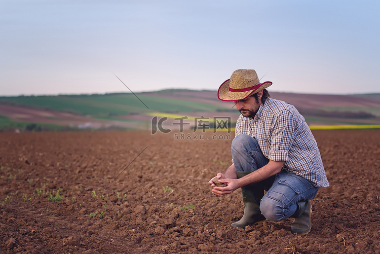 农民检查肥沃农田的土壤质量