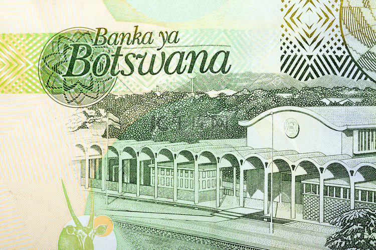 10张博茨瓦纳普拉纸币详情