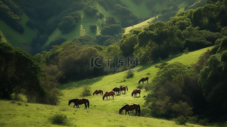 一群马在郁郁葱葱的山坡上吃草