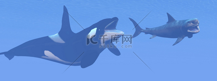虎鲸攻击小巨齿鲨 — 3D渲染