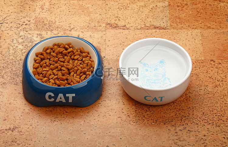 棕色地板上碗里的干猫粮和水