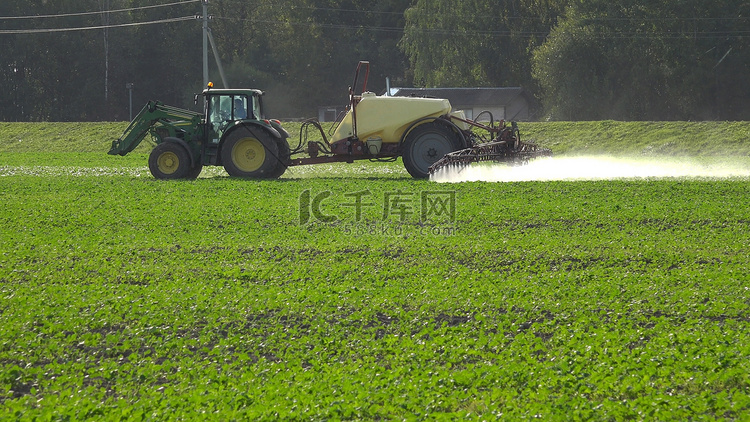 秋季拖拉机喷洒农药化学品的油菜