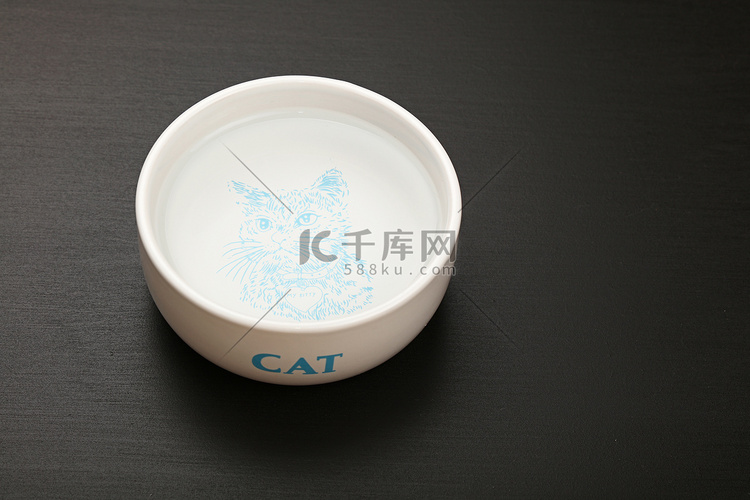 黑地板陶瓷碗里的猫水